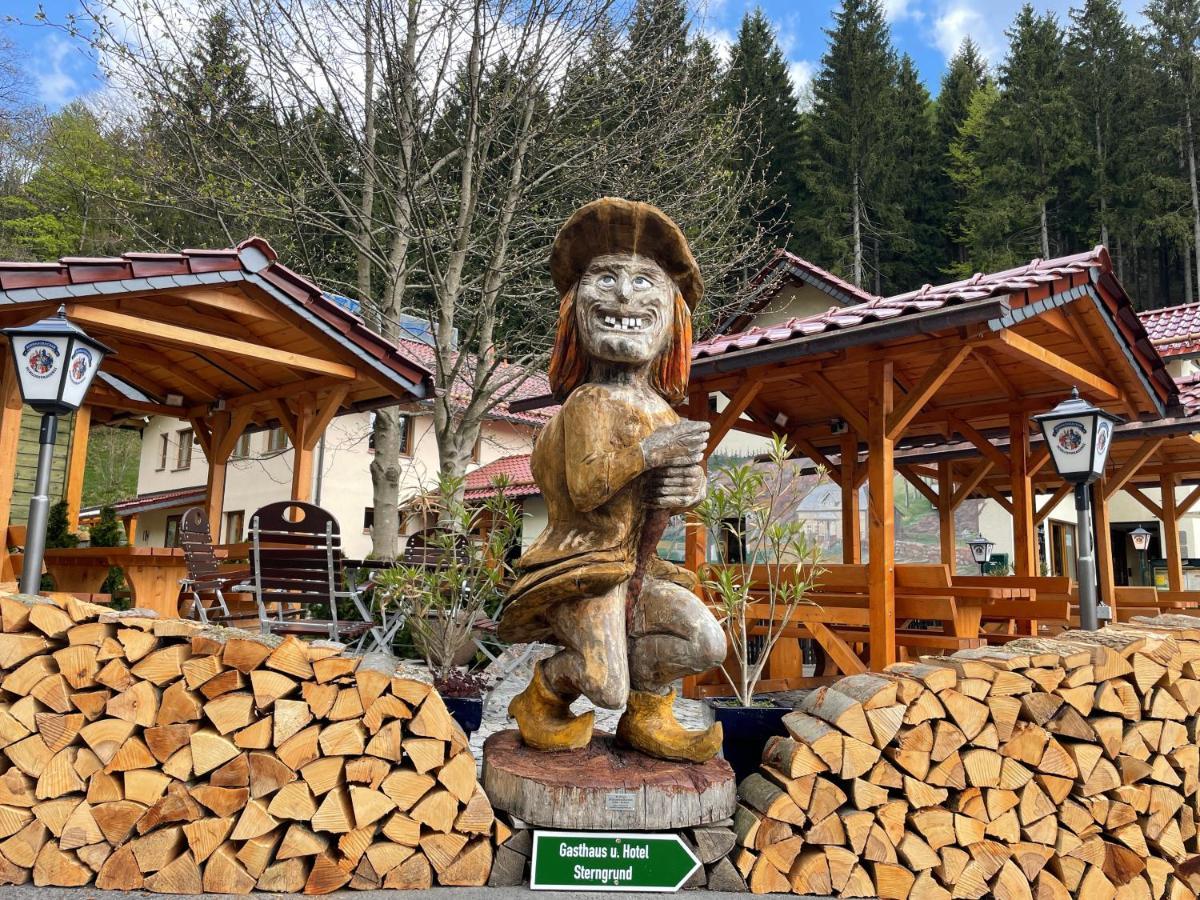 Hotel & Gasthaus Sterngrund تسيلا-ميليس المظهر الخارجي الصورة