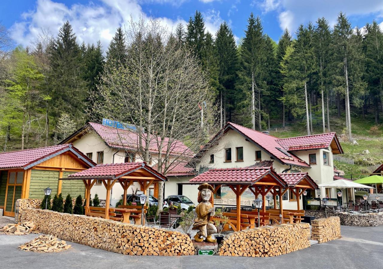 Hotel & Gasthaus Sterngrund تسيلا-ميليس المظهر الخارجي الصورة