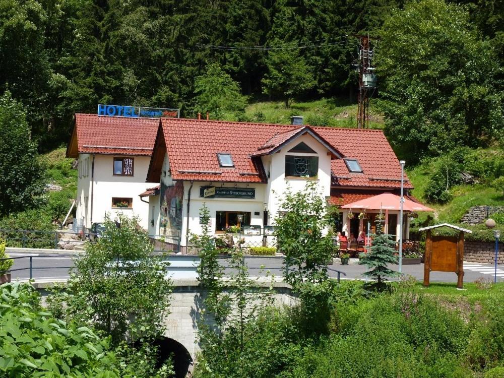 Hotel & Gasthaus Sterngrund تسيلا-ميليس المظهر الخارجي الصورة